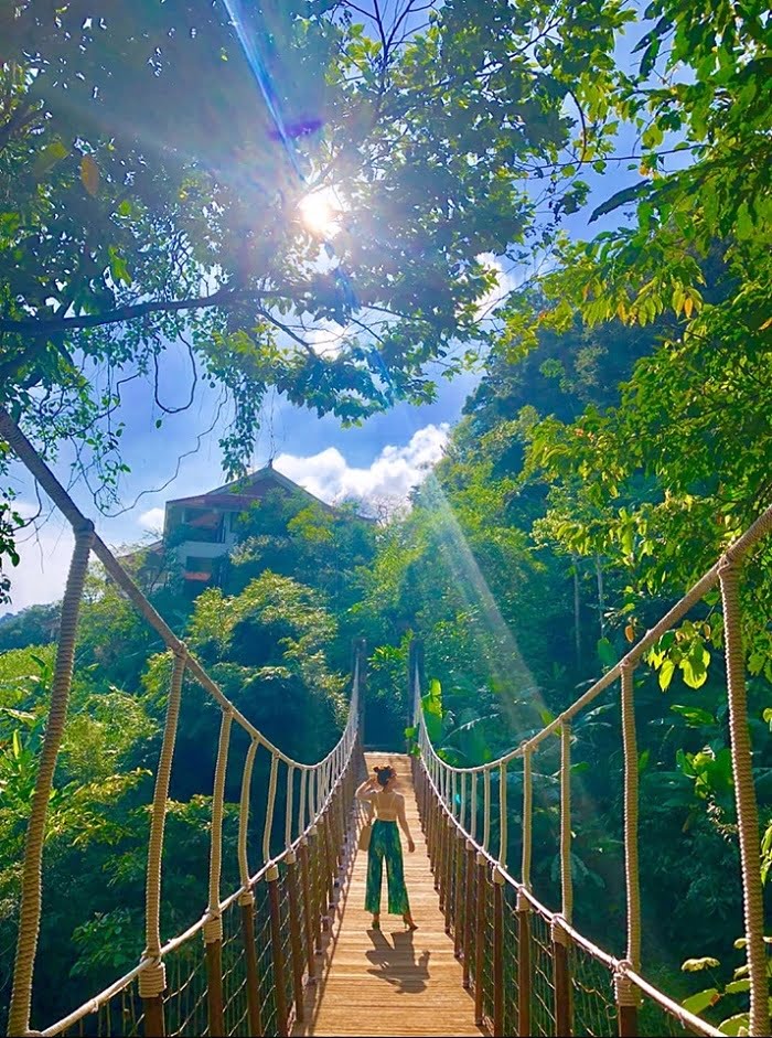Cầu Mây Tam Đảo