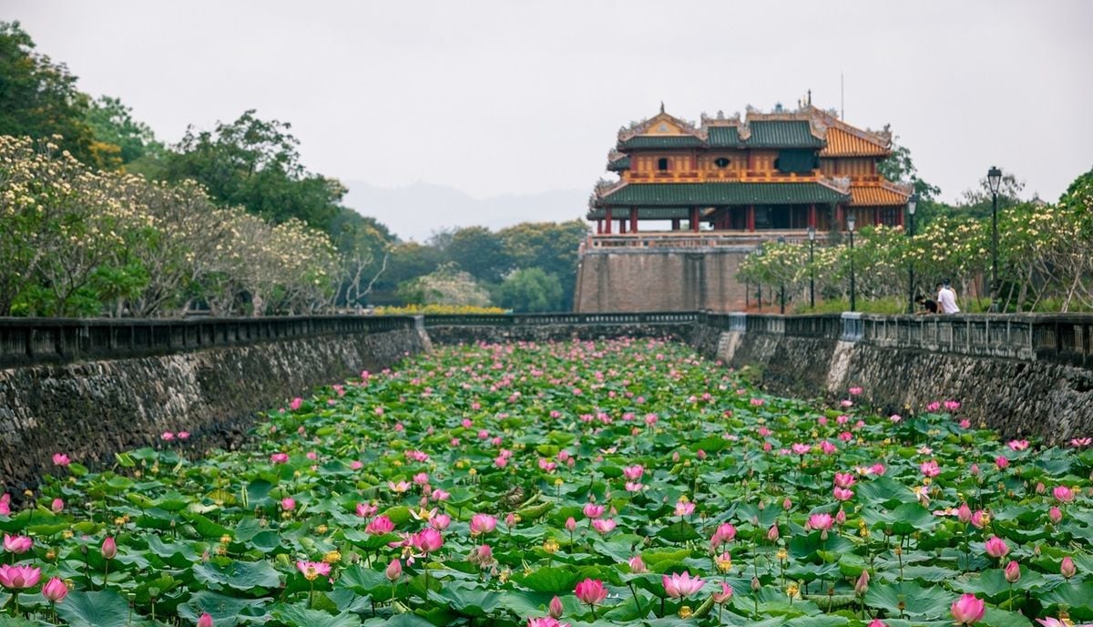 Hồ Tịnh Tâm vào mùa sen nở