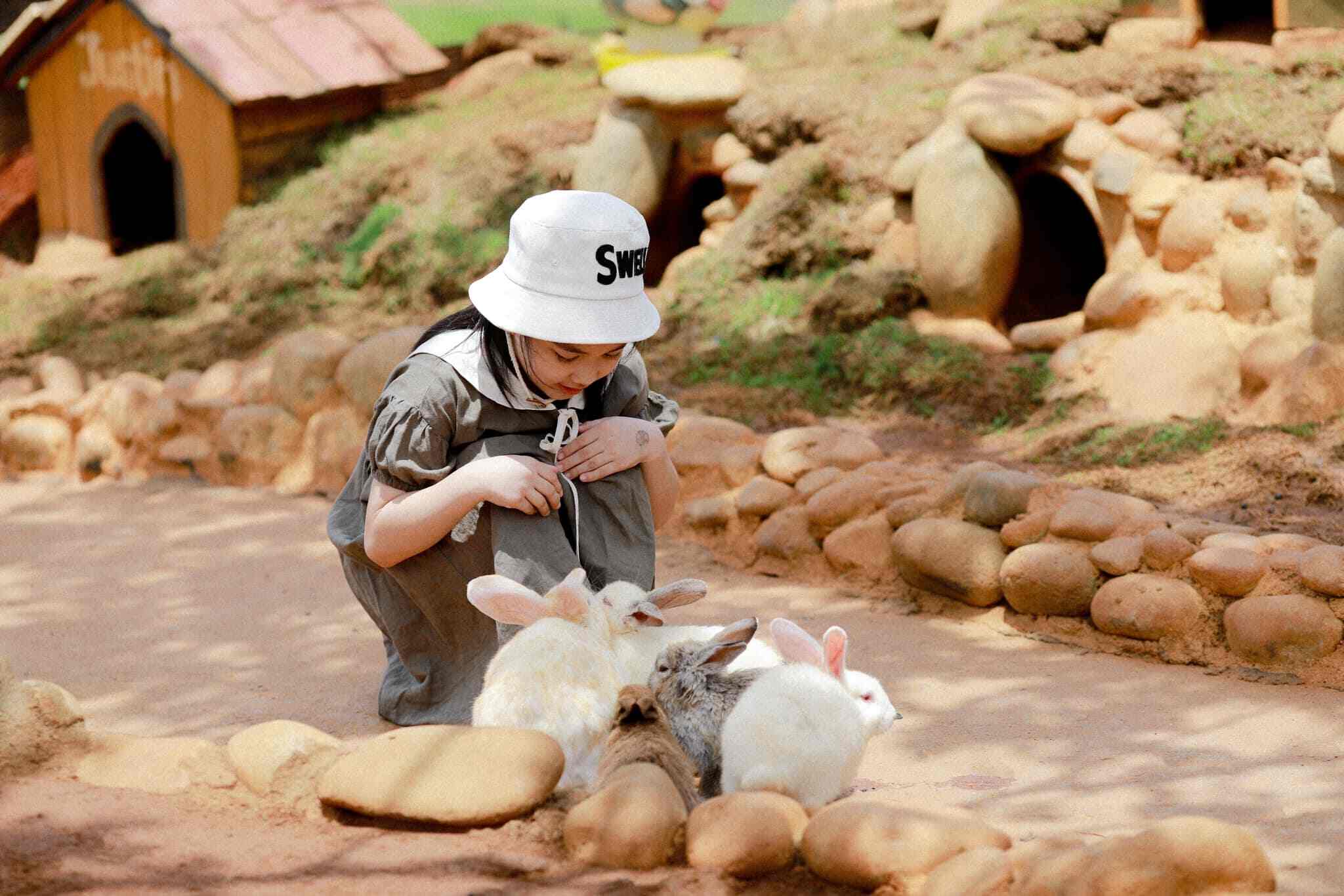 Thể giới động vật tại Mongo Land
