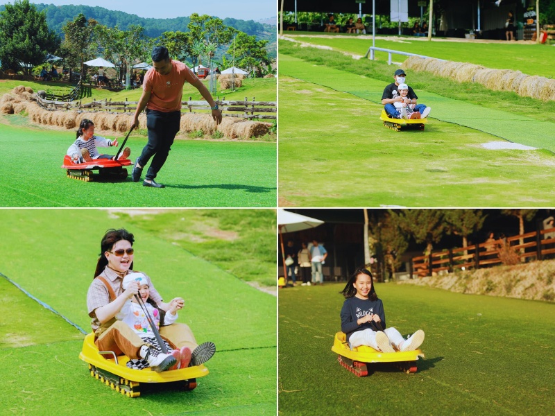 Trượt cỏ tại Mongo Land