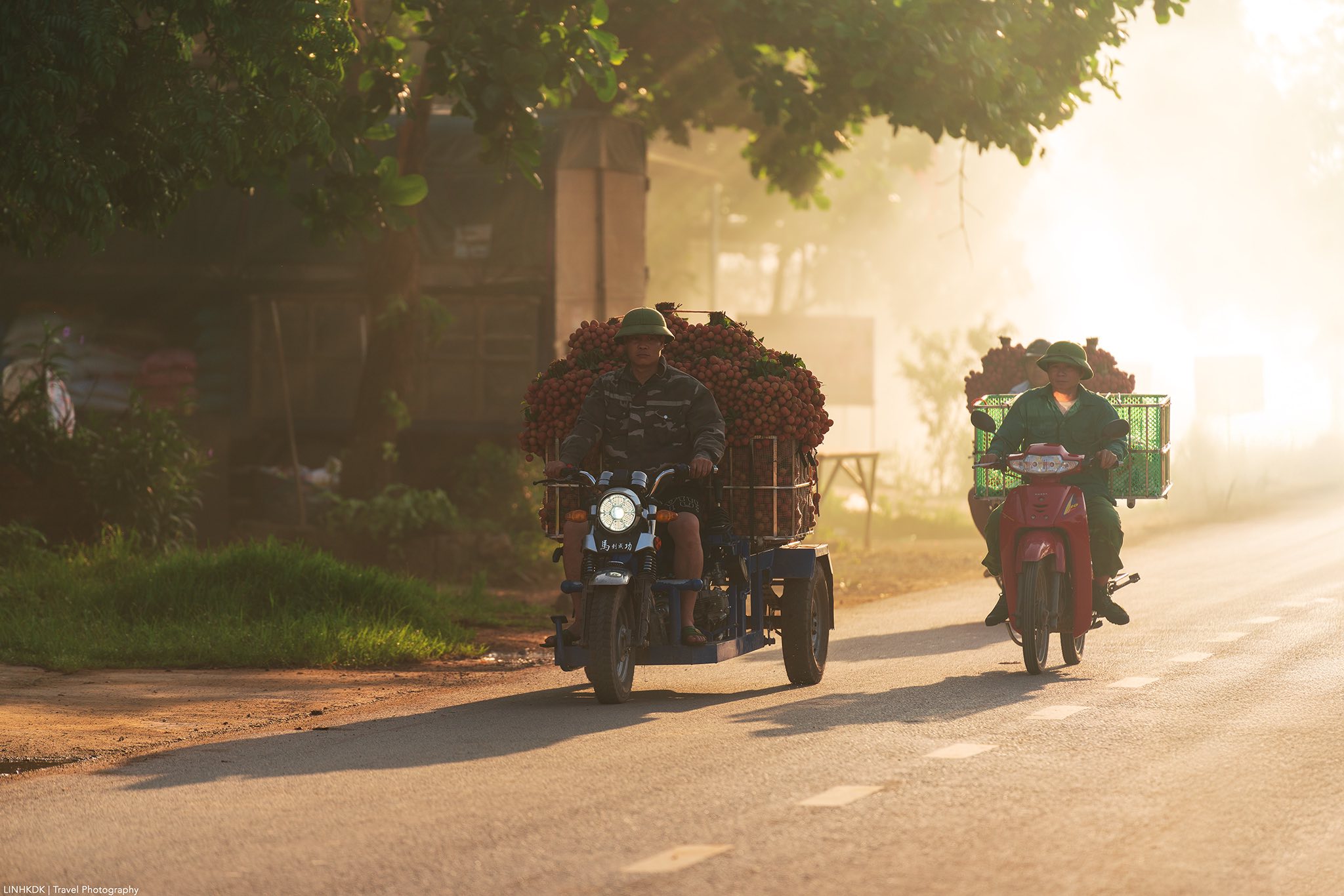 Mùa vải thiều Lục Ngạn