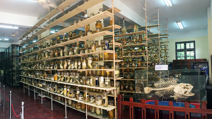 Khu hiện vật phi sinh vật
