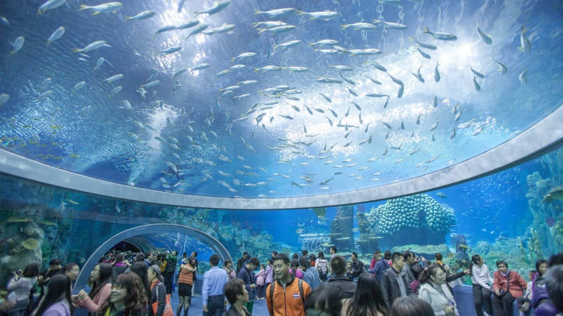 Thủy cung tại Viện Hải Dương học Nha Trang
