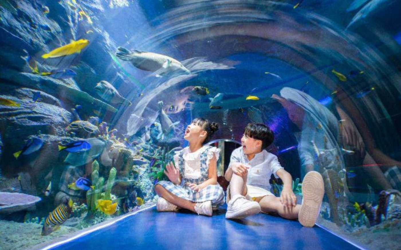 Thủy cung tại VinWonders Nha Trang