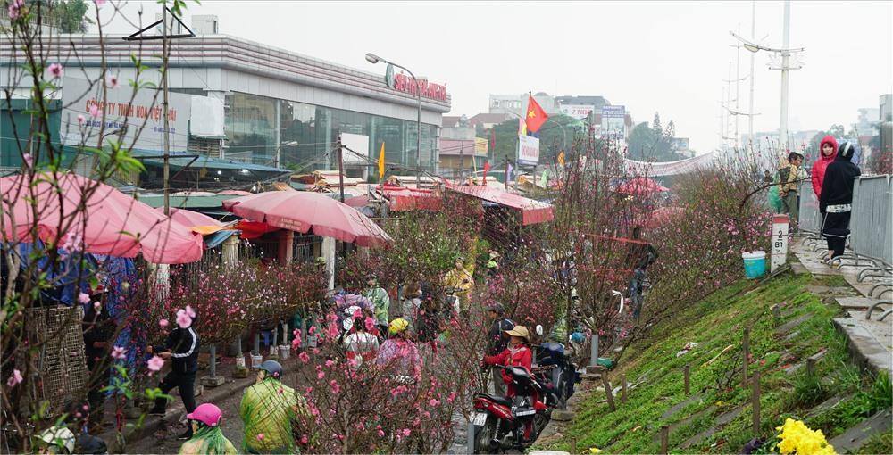 Chợ hoa Quảng Bá những ngày cuối năm