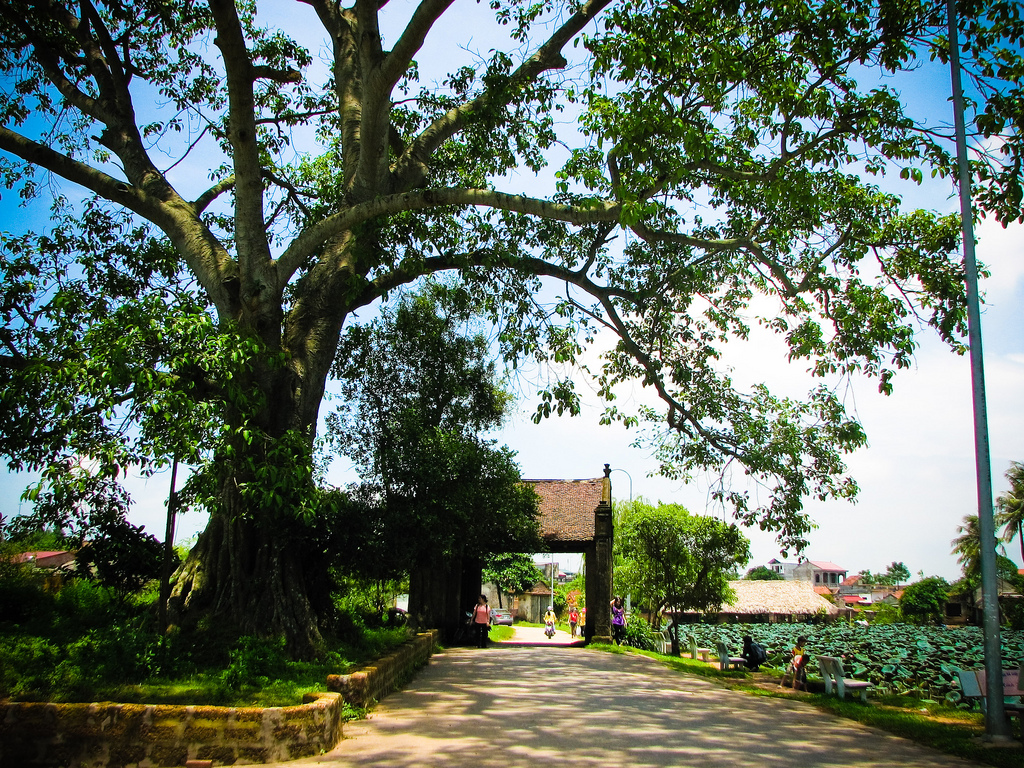 Cổng làng Mông Phụ