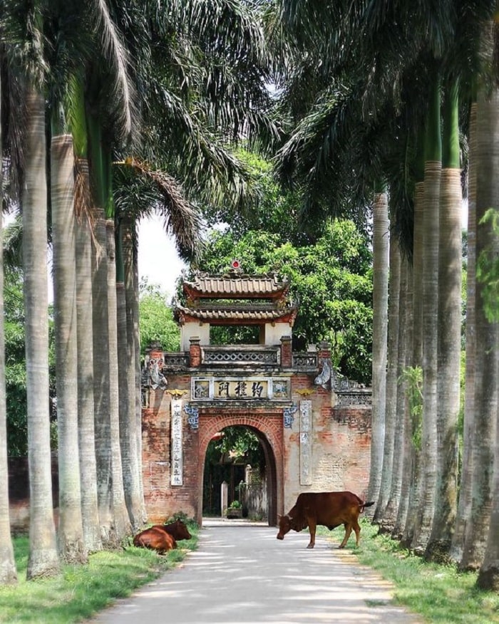 Di chuyển đến làng cổ Ước Lễ