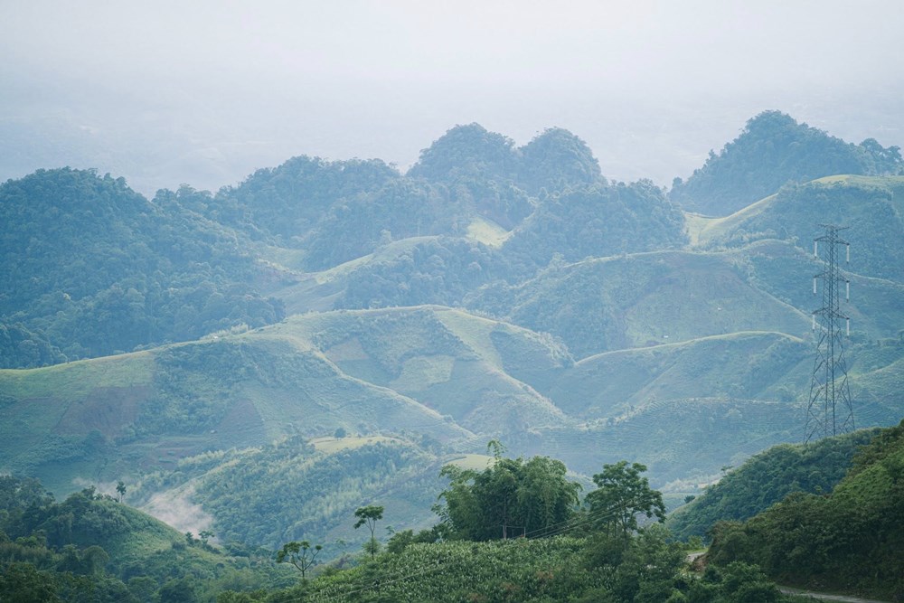con đường lên suối Bon