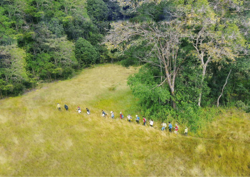 Trekking tại vườn quốc gia 