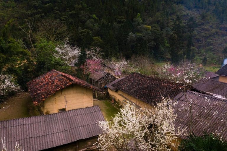 Làng dệt lanh Lùng Tám