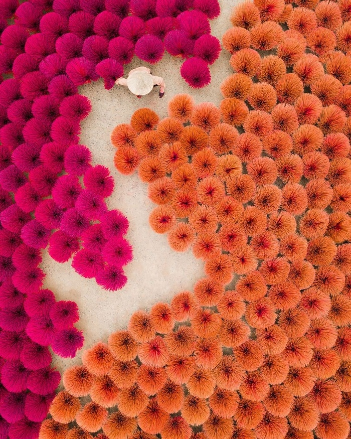 Cảnh sắc rực rỡ từ trên cao nhìn xuống