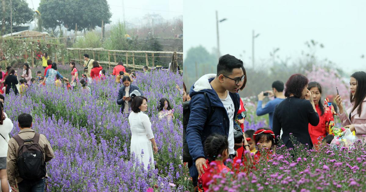 Làng hoa Nhật Tân