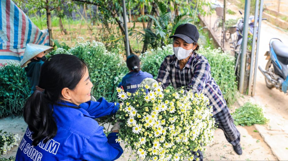 Mua hoa tại vườn Nhật Tân