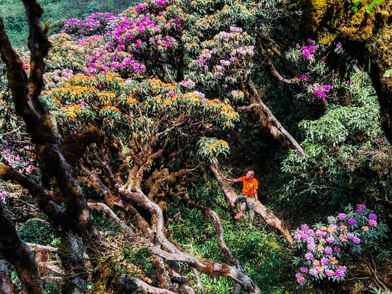 4 Cung đường trekking Putaleng 