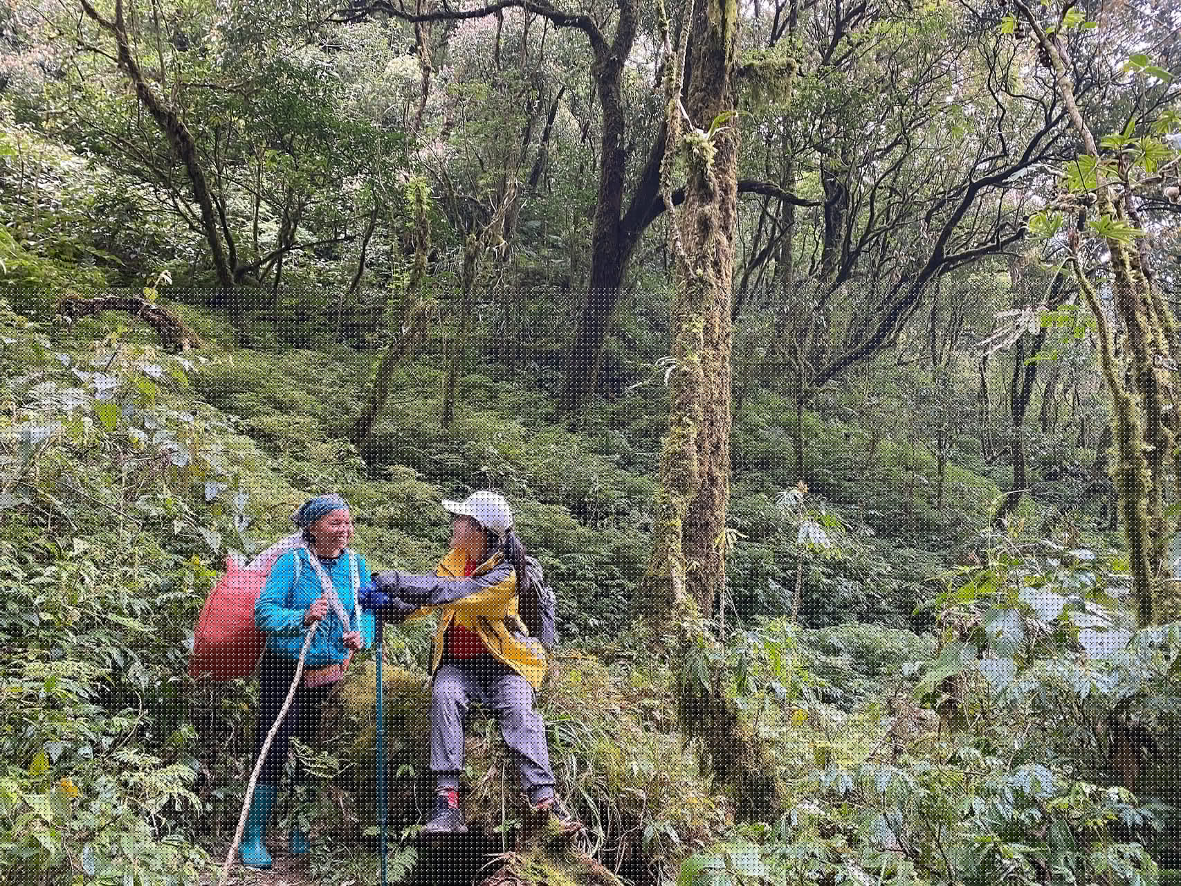 Kinh nghiệm trekking Putaleng
