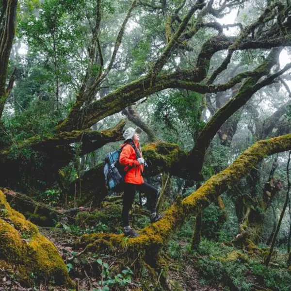 Bí kíp trekking Tà Xùa (Yên Bái) từ A đến Z: Khám phá thiên đường giữa đại ngàn Tây Bắc