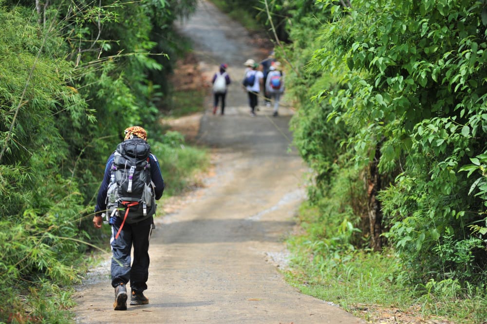 Trekking núi Dinh