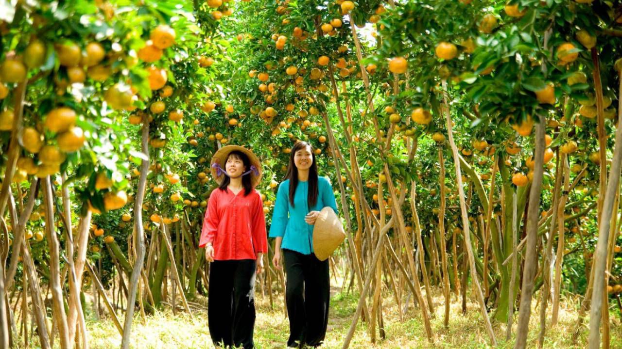 Miệt vườn tại Thới Sơn