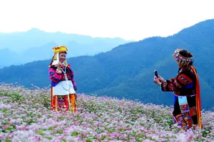 Lễ hội hoa tam giác mạch Tuyên Quang – Bức tranh cổ tích thơ mộng giữa đại ngàn hùng vĩ