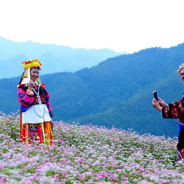 Lễ hội hoa tam giác mạch Tuyên Quang – Bức tranh cổ tích thơ mộng giữa đại ngàn hùng vĩ