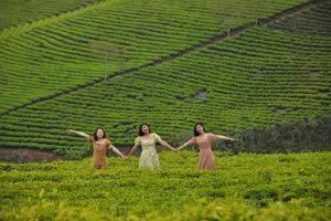 Lễ hội trà quốc tế 2025 tại Lâm Đồng