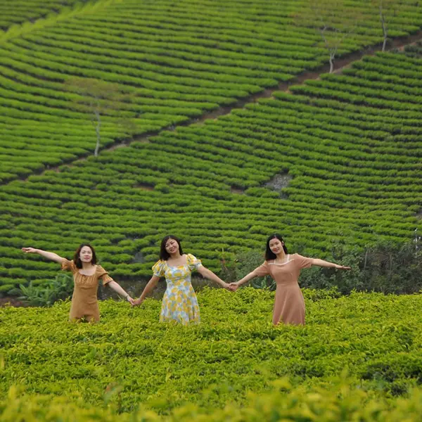 Lễ hội trà quốc tế 2025 tại Lâm Đồng