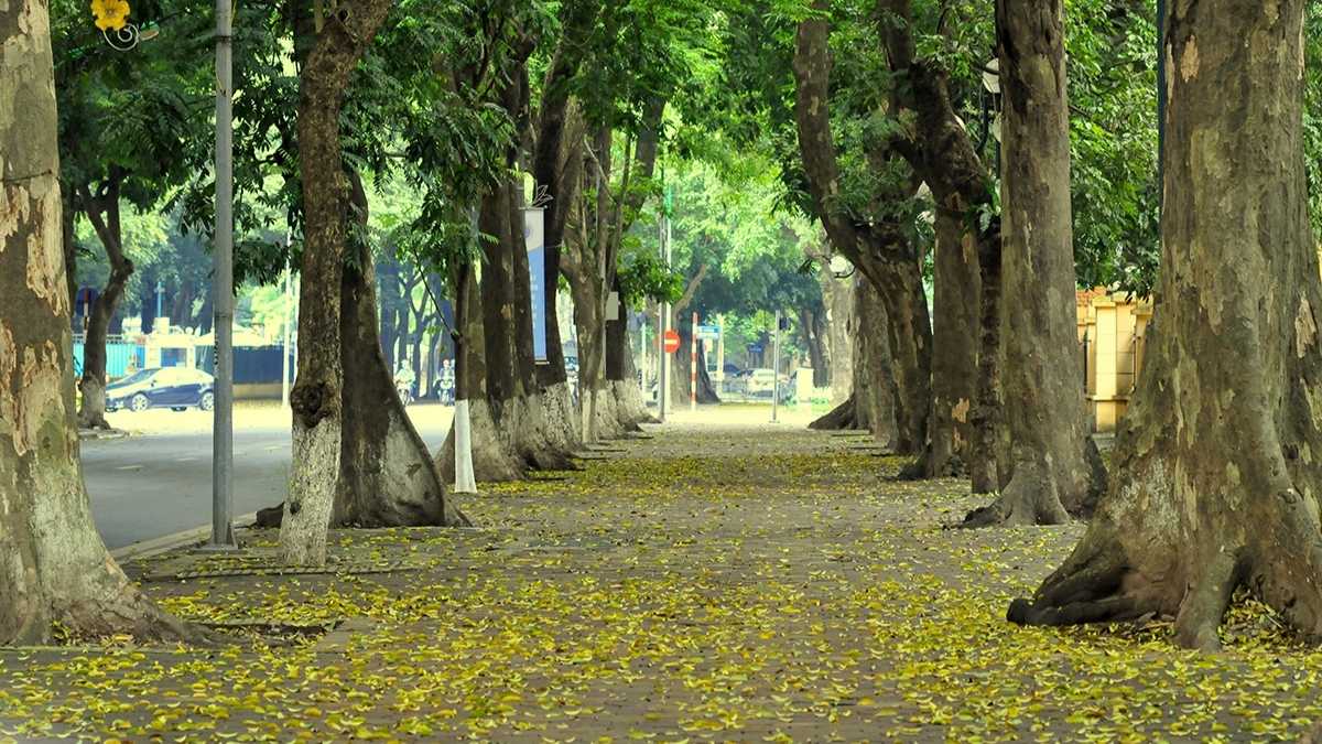 Khung cảnh lãng mạn tại con phố Phan Đình Phùng