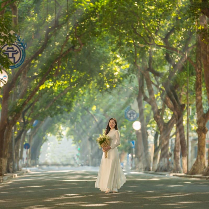Chụp ảnh thu Hà Nội tại phố Phan Đình Phùng