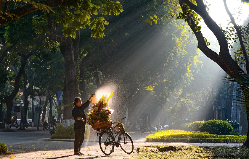 Nắng hè trên con phố Phan Đình Phùng