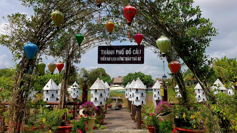 Thành phố bồ câu