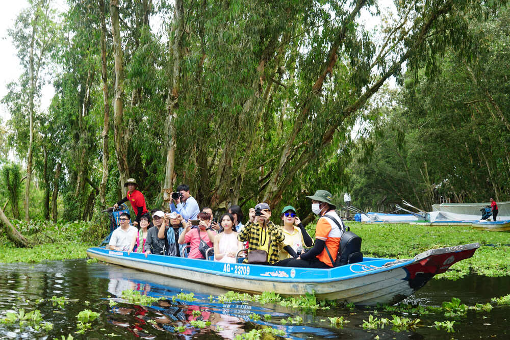 Tham quan rừng tràm bằng thuyền máy