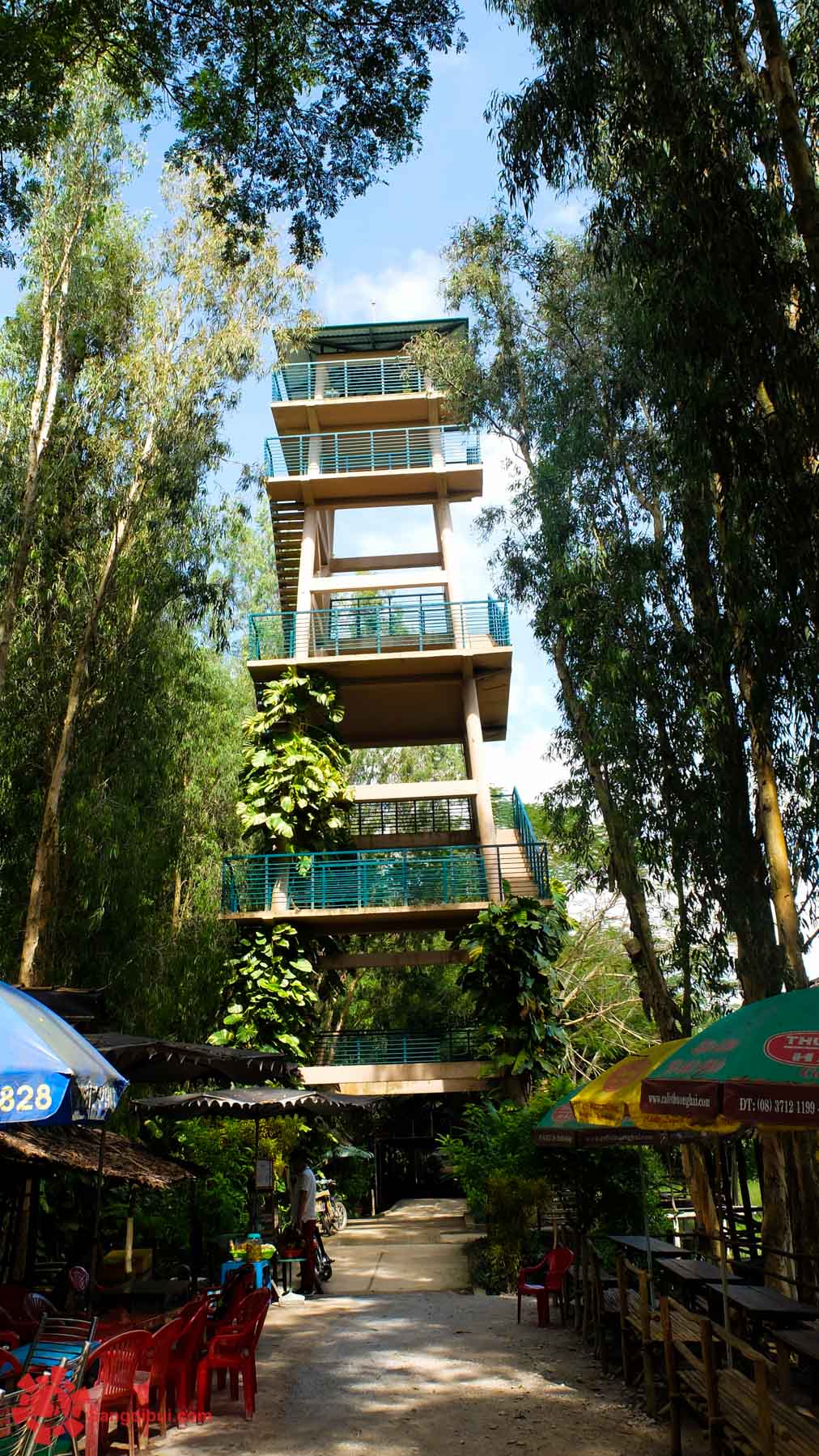 Lầu Vọng Cảnh tại rừng tràm Trà Sư