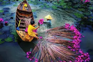 Kinh nghiệm khám phá Vị Thanh mùa nước nổi cho khách du lịch