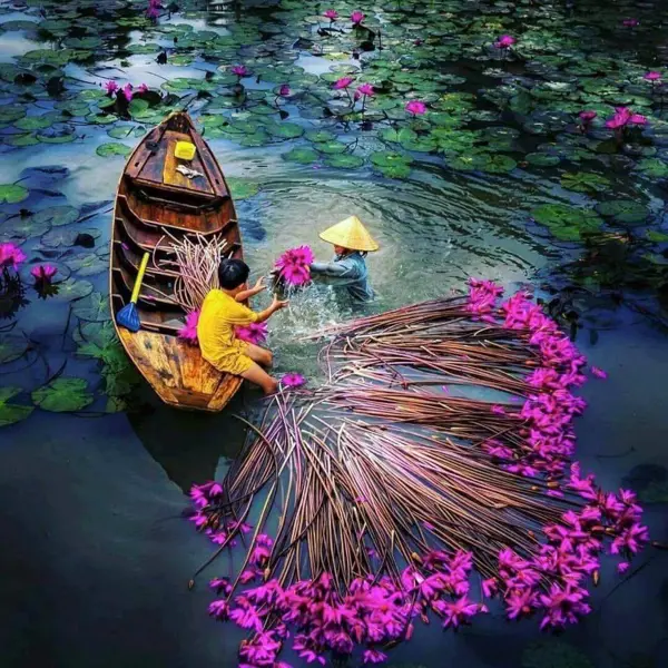 Kinh nghiệm khám phá Vị Thanh mùa nước nổi cho khách du lịch