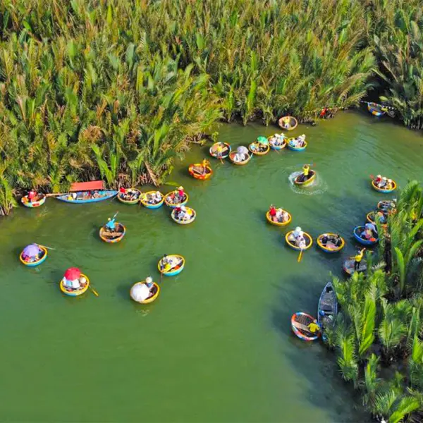 Trọn bộ “bí kíp” khám phá rừng dừa Bảy Mẫu Hội An cho người mới đi lần đầu