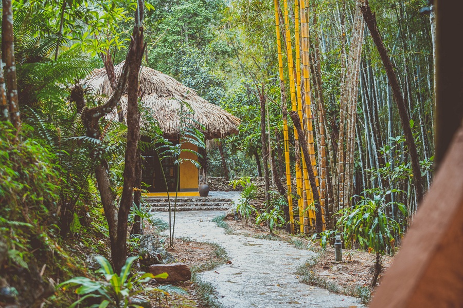 Panhou Retreat Hoàng Su Phì