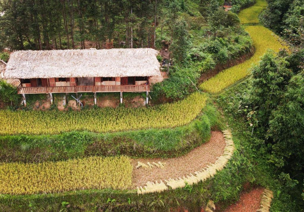 Lagom Homestay
