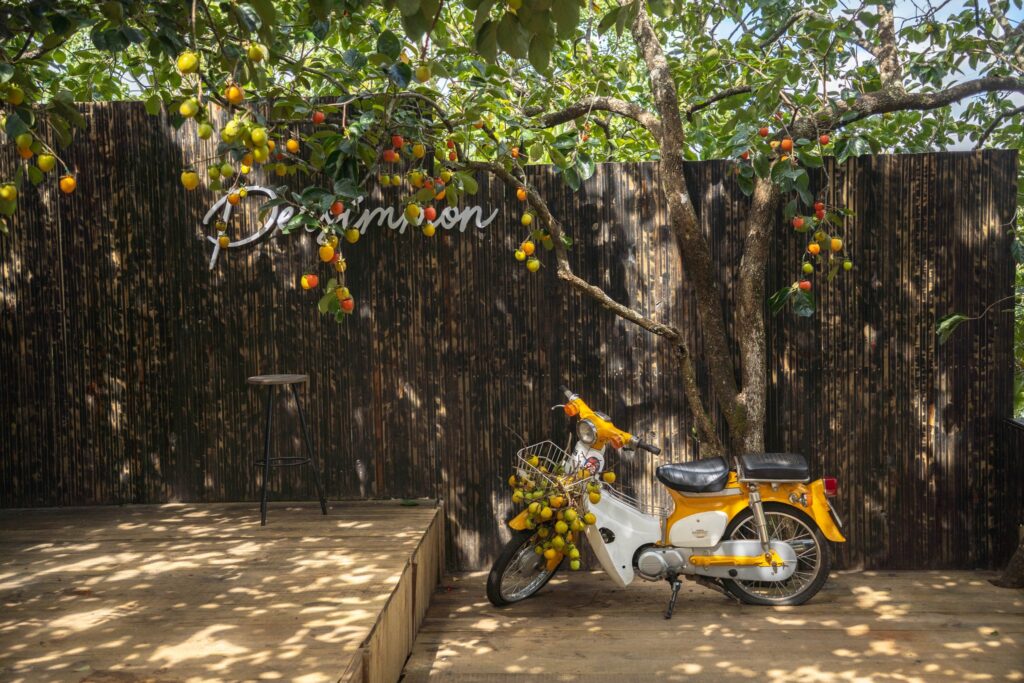 Quán cà phê Persimmon