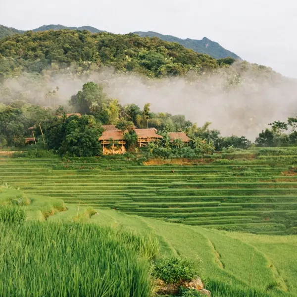 3 khu nghỉ dưỡng nổi tiếng tại Pù Luông giúp du khách “chữa lành” với những kỳ nghỉ tuyệt vời