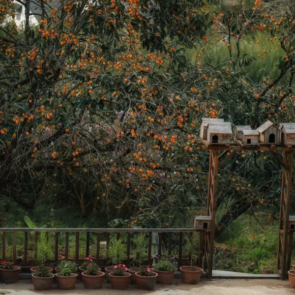 Gợi ý 4 quán cà phê tại Đà Lạt có view ngắm vườn hồng siêu đỉnh