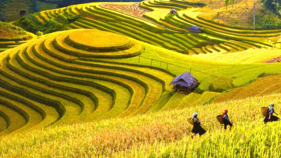 Hoàng Su Phì