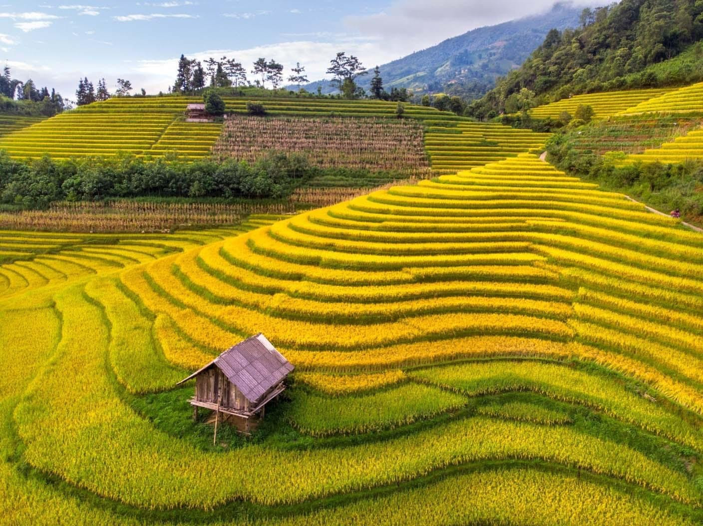 Nậm Cang