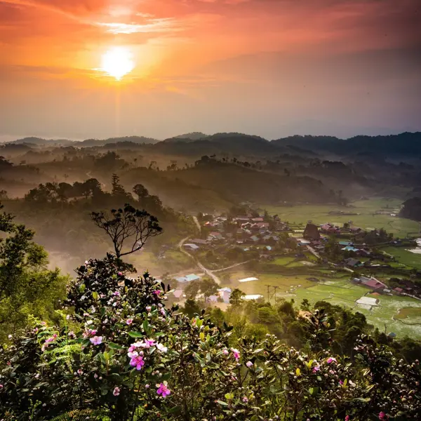 Kinh nghiệm du lịch Vi Rơ Ngheo (Măng Đen) - “Thiên đường” của địa lan