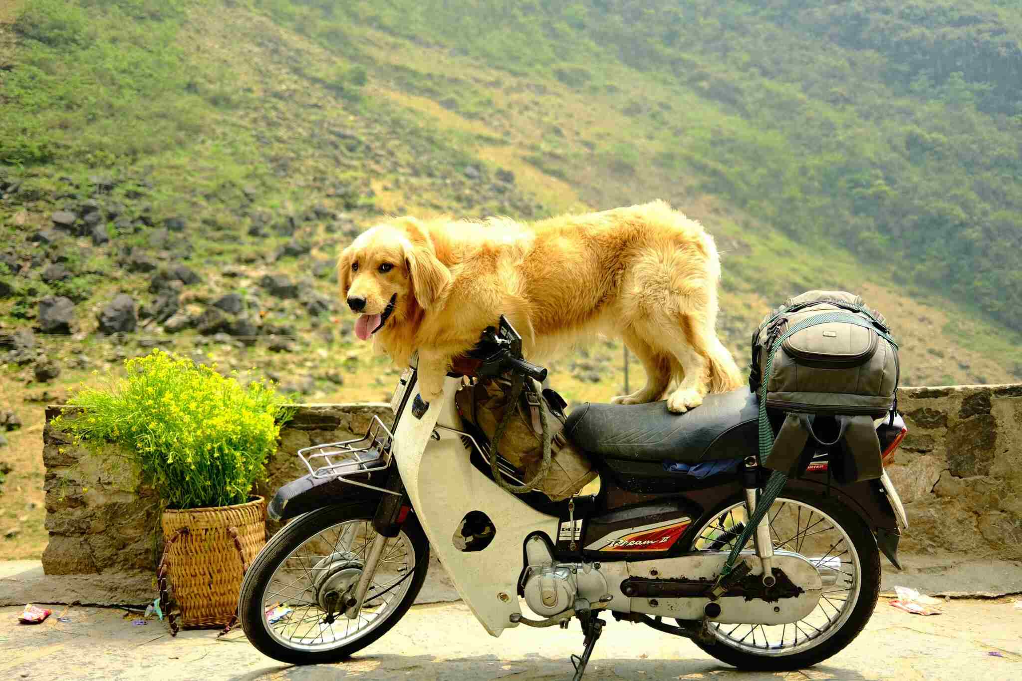 Thư giãn trên hành trình xuyên Việt 