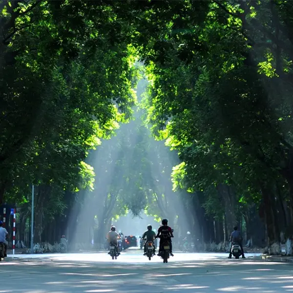Phố Phan Đình Phùng (Hà Nội) - Con phố đẹp nhất thủ đô