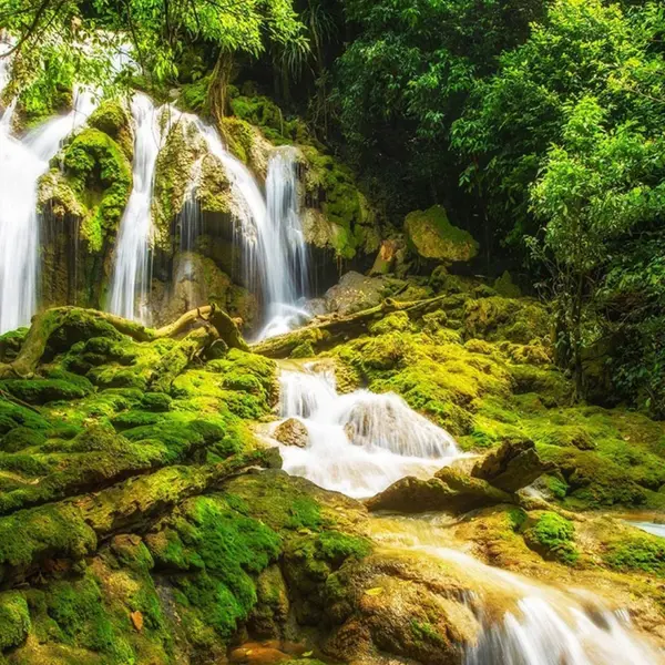 “Bỏ túi” kinh nghiệm trekking thác Khe Dầu - “Tuyệt tình cốc” giữa rừng xanh xứ Lạng