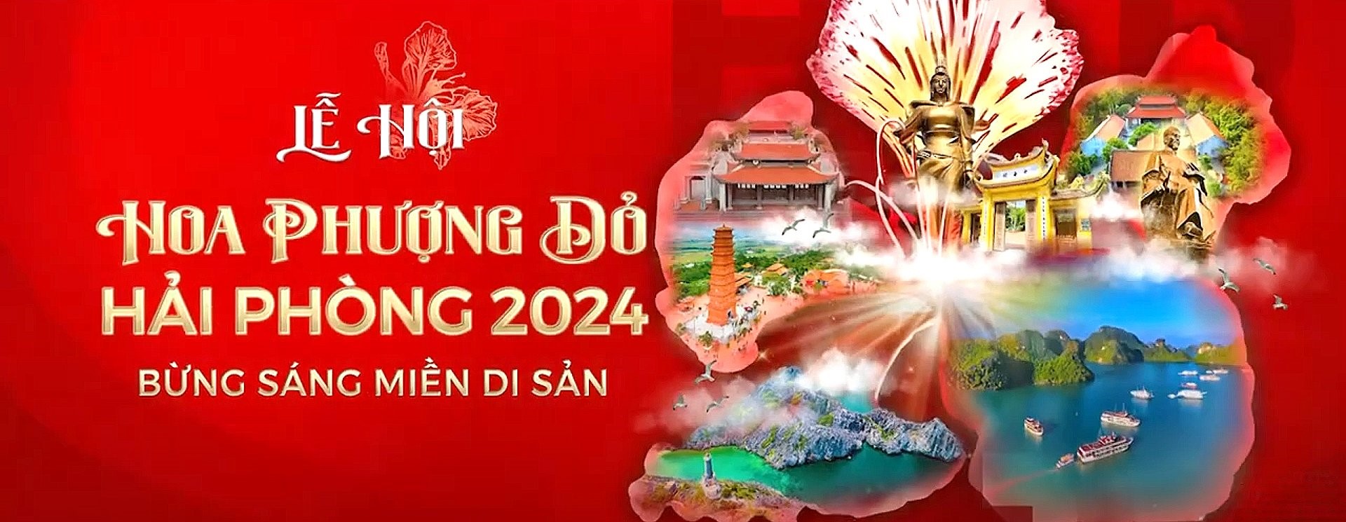 Lễ hội hoa phượng đỏ 2024
