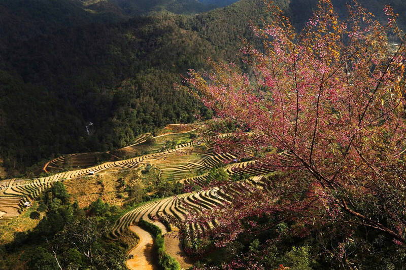 Cát Lình - bản H'Mông lưng chừng mây ở Sơn La