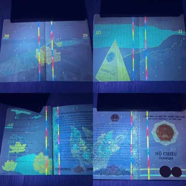 Hộ chiếu Việt Nam: Từng trang "sống dậy" thành bản đồ di sản dưới ánh sáng UV