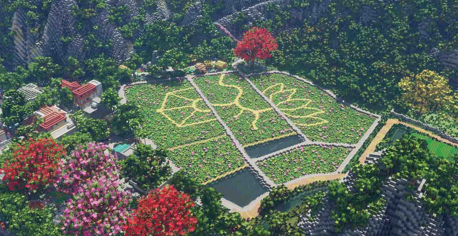 Khung cảnh khu vực hồ sen